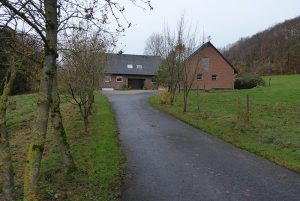 Zufahrt durch die Ebereschen-Allee