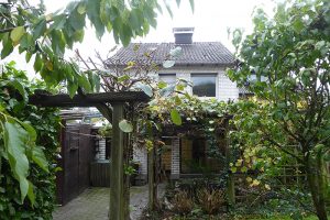 Hausansicht vom Garten gesehen