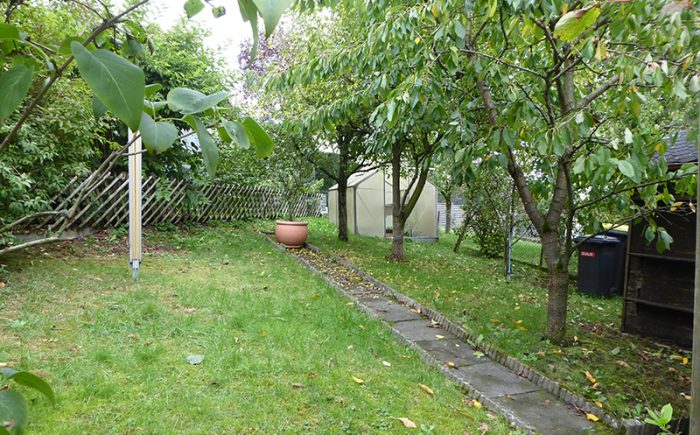 Obstbäume und Sträucher