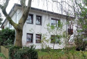 Leben mit alten Bäumen