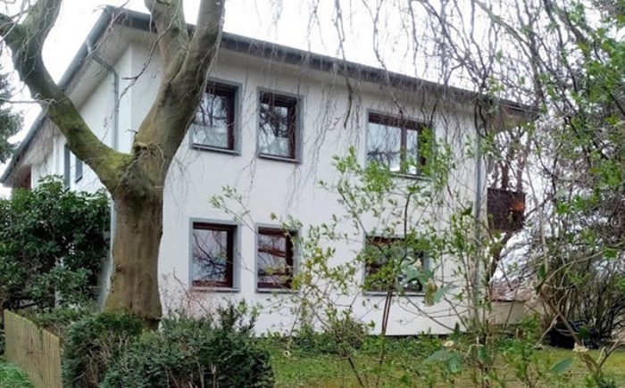 Leben mit alten Bäumen